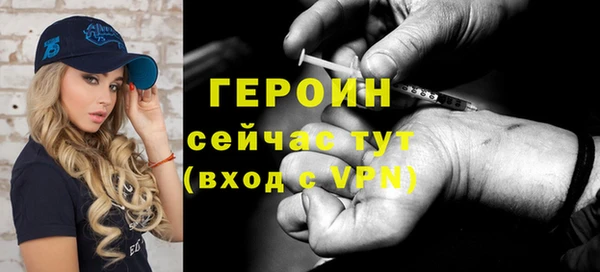 прущие грибы Дмитриев