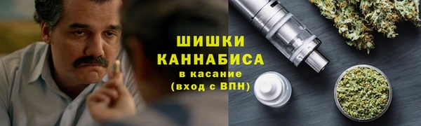 прущие грибы Дмитриев