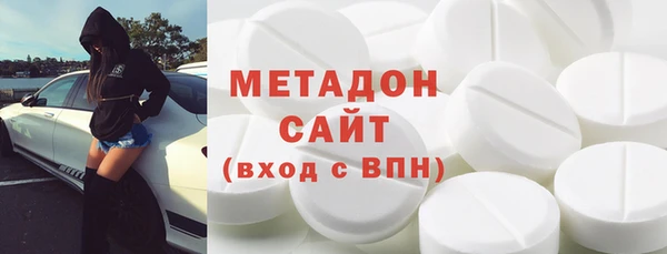 прущие грибы Дмитриев