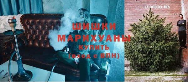 прущие грибы Дмитриев