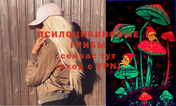 меф Гусев