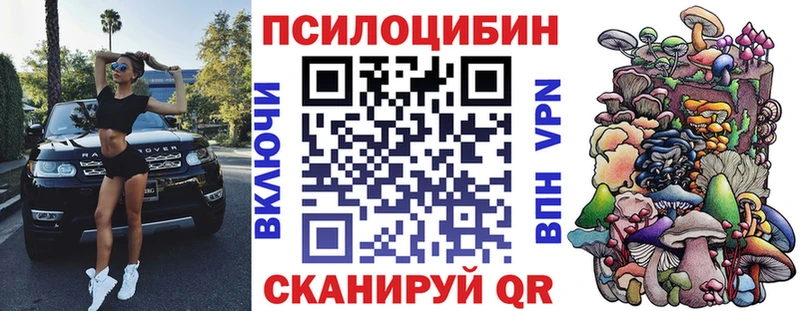 Псилоцибиновые грибы Psilocybine cubensis  Железноводск 