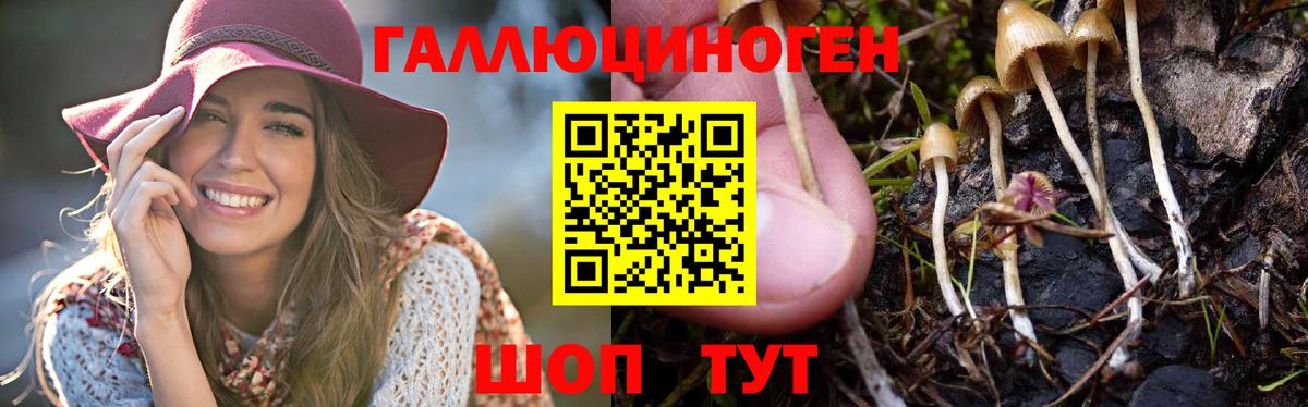 Галлюциногенные грибы MAGIC MUSHROOMS Железноводск